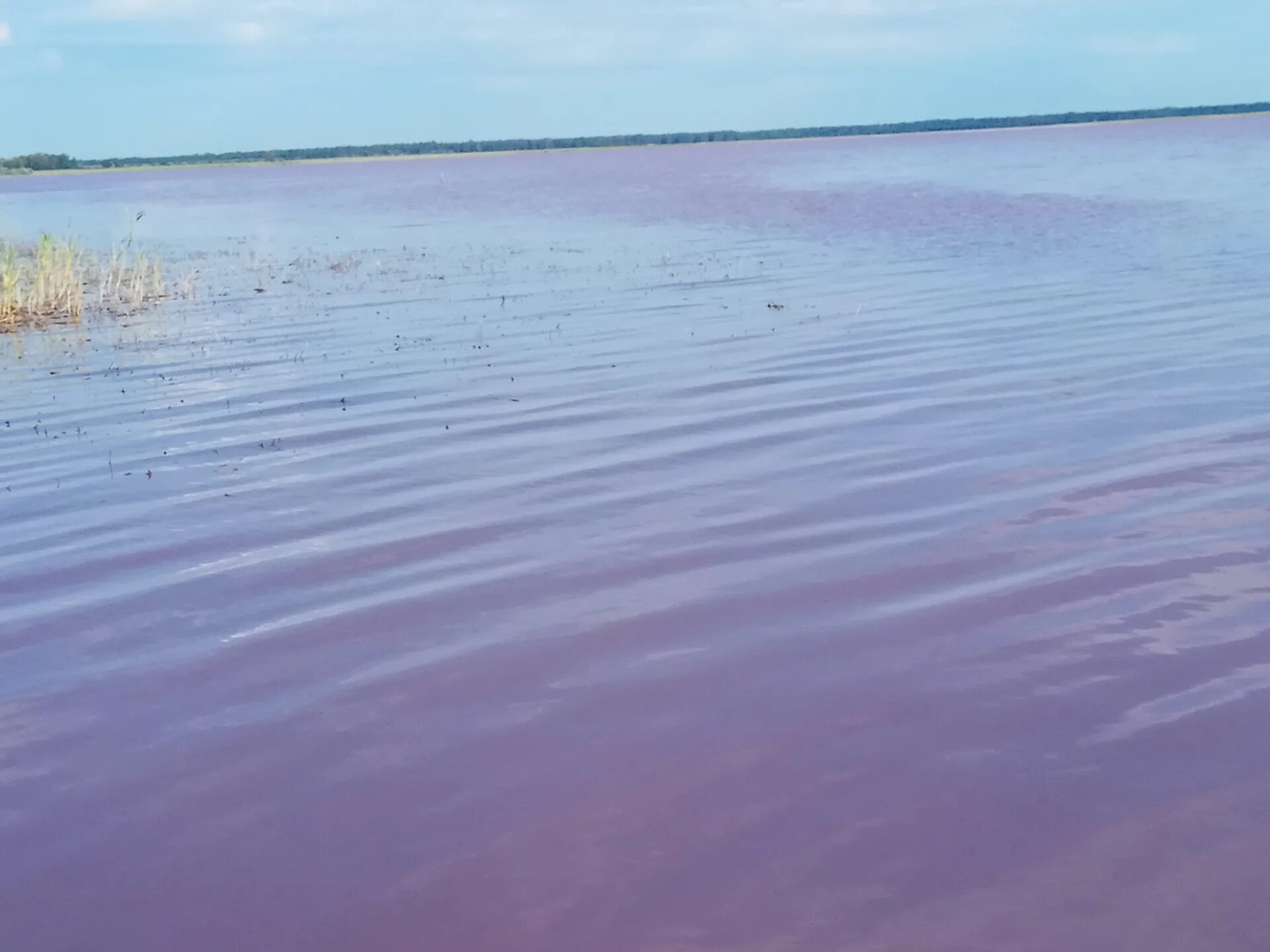 Погода малиновое озеро михайловского района алтайского края. Малиновое озеро Алтайский край Михайловский район. Малиновое озеро (Михайловский район). Алтай Михайловский район малиновое озеро. Озеро красное Алтайский край Михайловский.