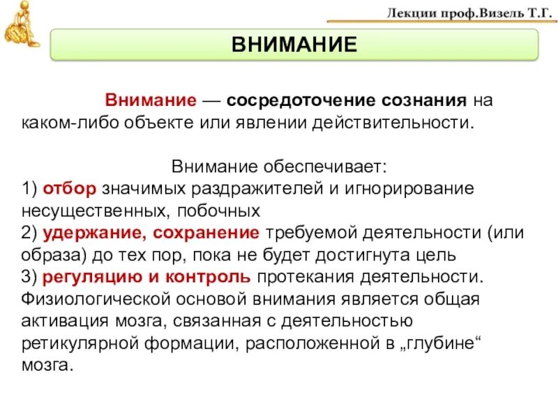 Степень сосредоточенности внимания. Функции внимания. Функции внимания в психологии. Структура функций внимания. Внимание обеспечивает.