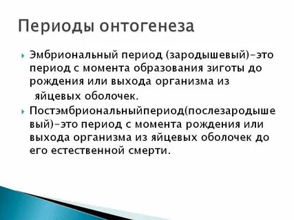 Фотогенез