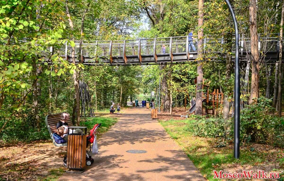 подвесной парк вднх. парк вднх мост. вднх экология. вднх экология. эхо тропа вднх.