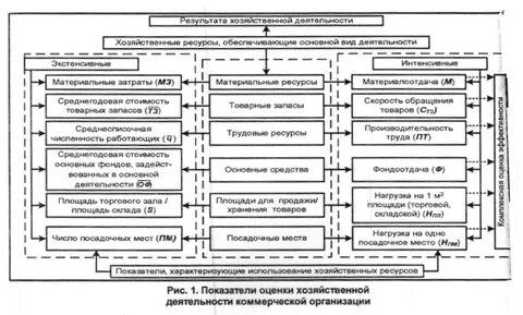 Анализ организации коммерческой деятельности