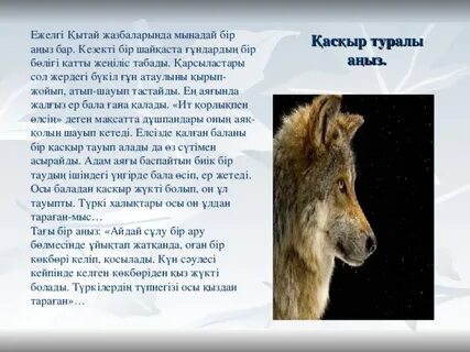 Ішіндегі кисканың порнографиясы