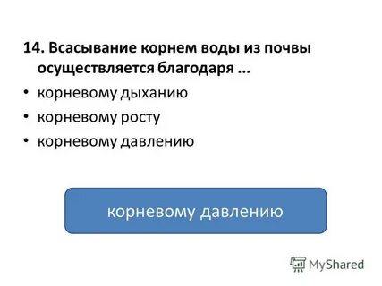 Благодарен корень