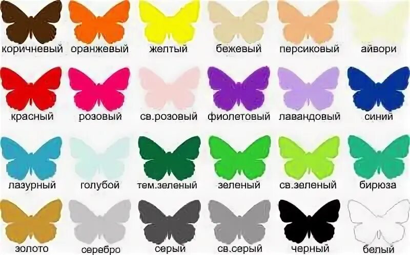 Значение цветов бабочек