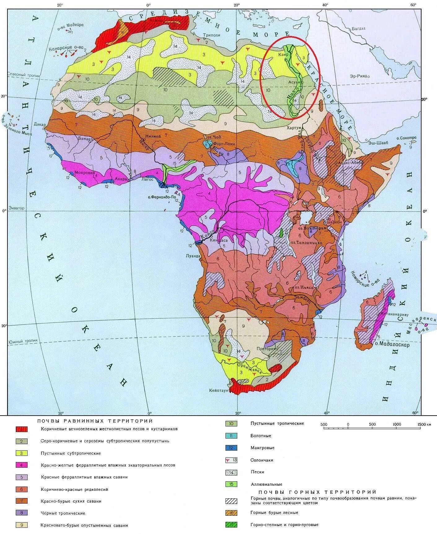 Виды почв. Гумусовый горизонт бурые полупустынные почвы. Типы плодородности почв. Какие почвы соответствуют. Дерново-подзолистая почва пашня.