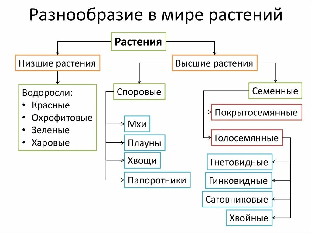 Схема растений низшие высшие. Низшие высшие споровые семенные растения. Низшие и высшие растения представители. Низкие и высшие растения. Признаки низших растений.