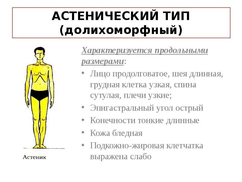Типичным для человека является. Типы конституции тела человека астеник. типы телосложения астенический нормостенический и гиперстенический. соматотип астеник. астенический тип телосложения.