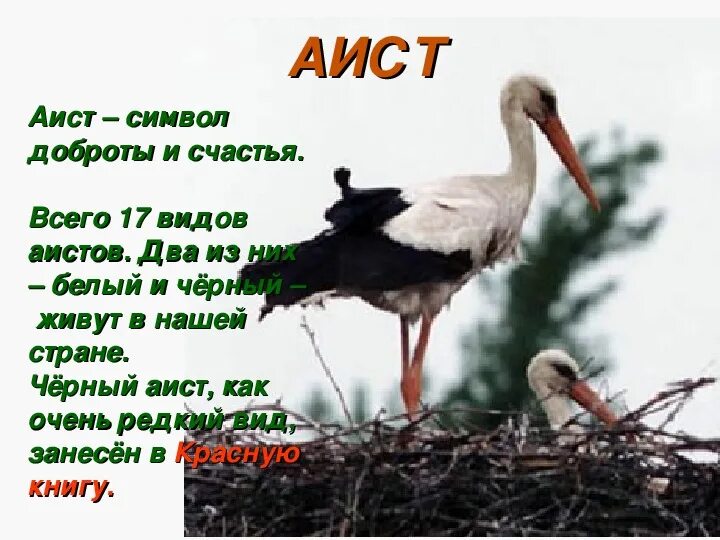 Аист на башкирском. Аист на башкирском