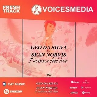 Geo silva