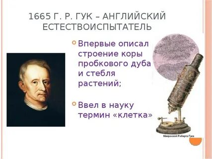 Термин клетка ввел в науку