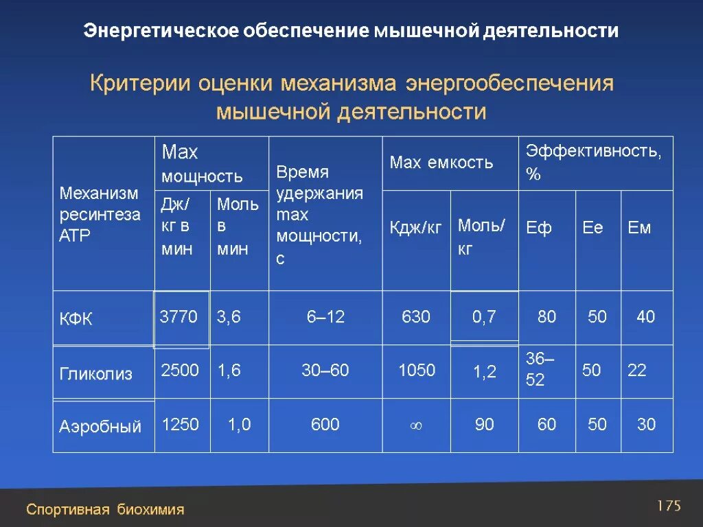 Механизмы энергообеспечения мышечной деятельности. Биоэнергетическое обеспечение мышечной деятельности. Аэробный механизм энергообеспечения мышечной деятельности. Режимы энергообеспечения тренировки. Максимальная энергия для максимальных результатов