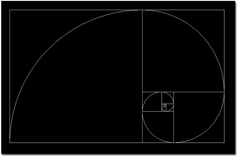 Золотое сечение рентгенодиагностические центры. Золотое сечение. Спираль Фибоначчи. Спираль Фибоначчи золотое сечение. Золотое сечение на прозрачном фоне.