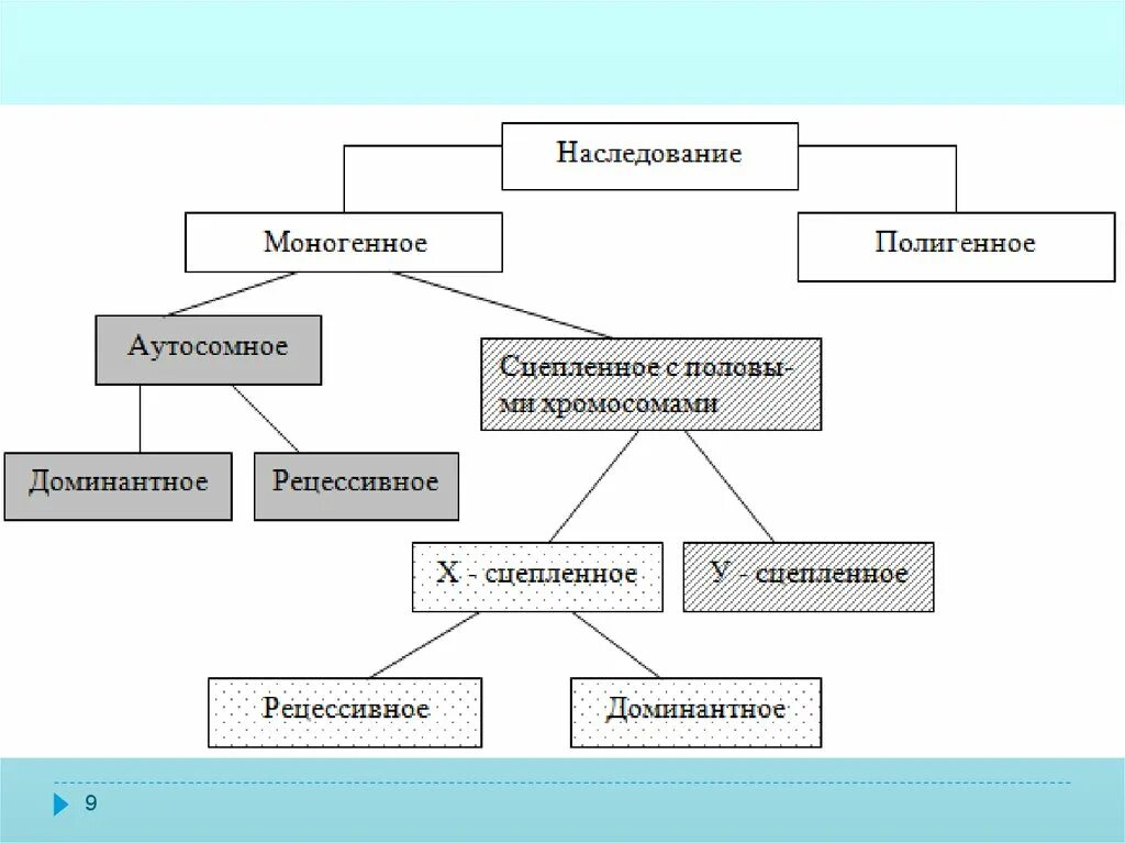 Основные наследования признаков. Типы моногенного наследования. Закономерности моногенного наследования признаков. Типы наследования моногенных болезней. Типы наследования признаков схема моногенное.