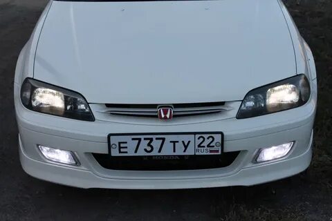 Туманки торнео