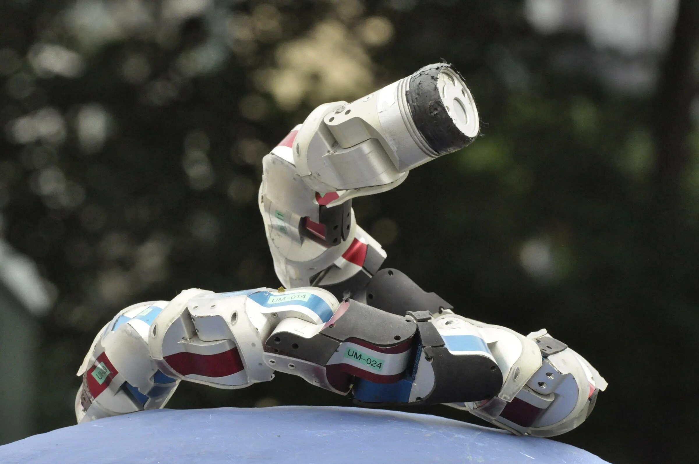 Робот червяк. Робо щупальцы. Робот червь. Робот-червячок с ик датчиком. Робот сколопендра киберпанк.