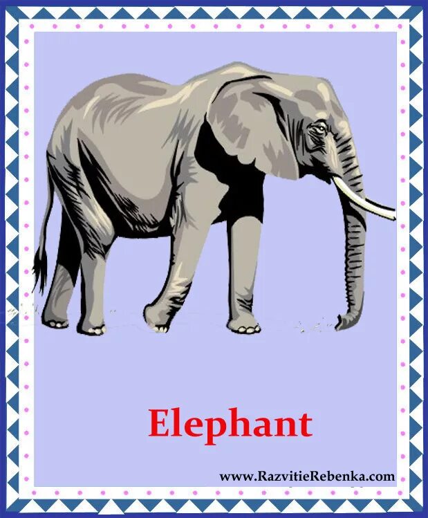 Elephant перевод. Слон по английскому. Карточка по английскому слон. Картинки животных для детей. Карточки животные для детей слон.