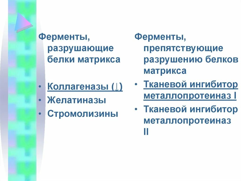 Какой фермент разрушает. Коллагеназы тканевые ингибиторы металлопротеиназ. Ферменты разрушающие белки. Что разрушает ферменты. Ингибирование коллагена.