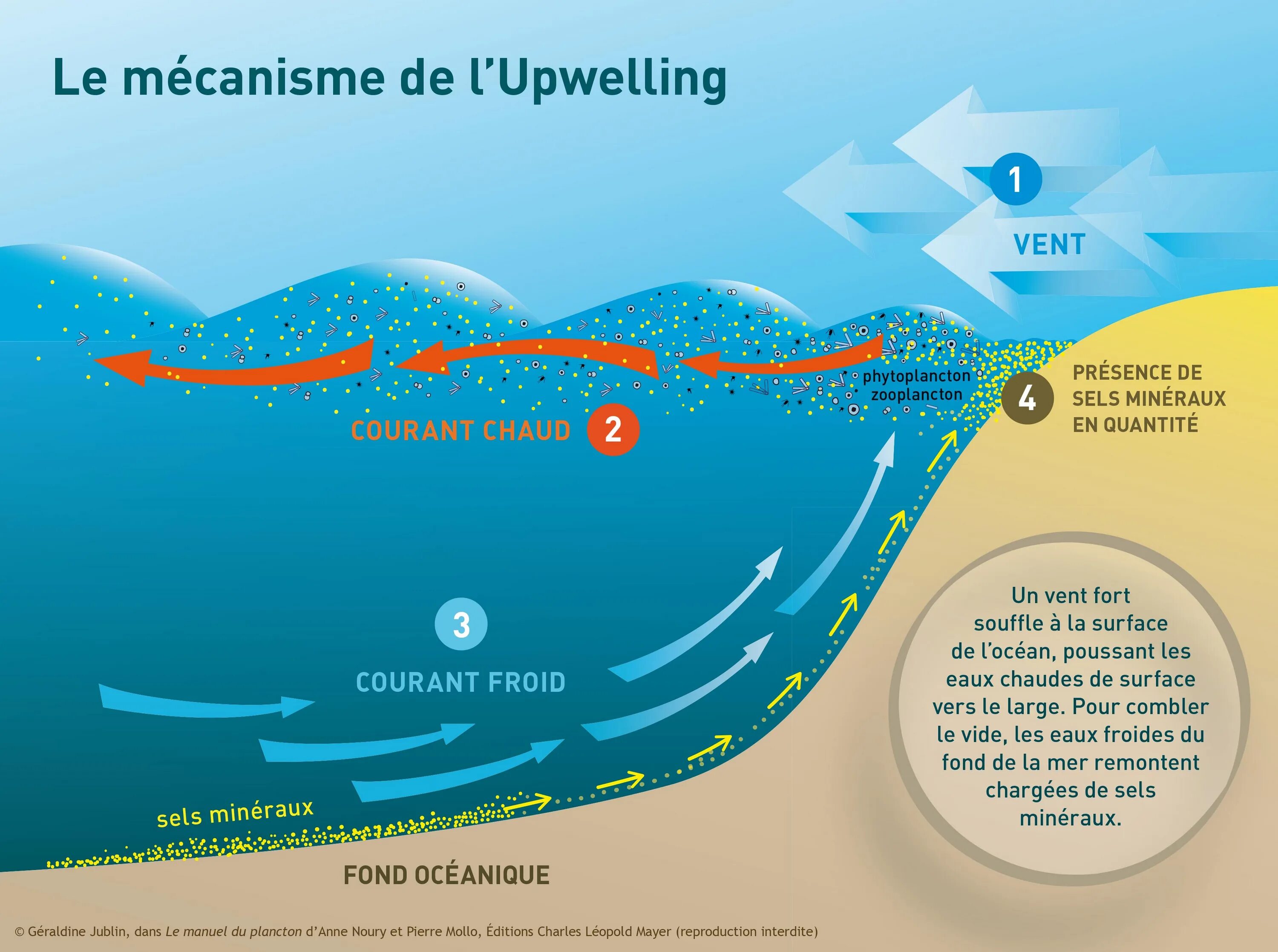 перуанский апвеллинг. апвеллинг что это такое в черном море. апвеллинги мирового океана. апвеллинг что это такое в черном море. перуанский апвеллинг.