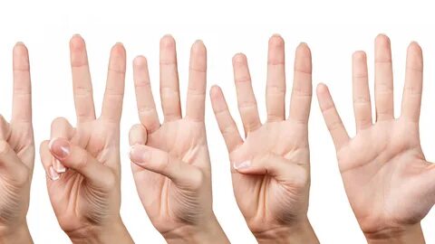 Hands fingers