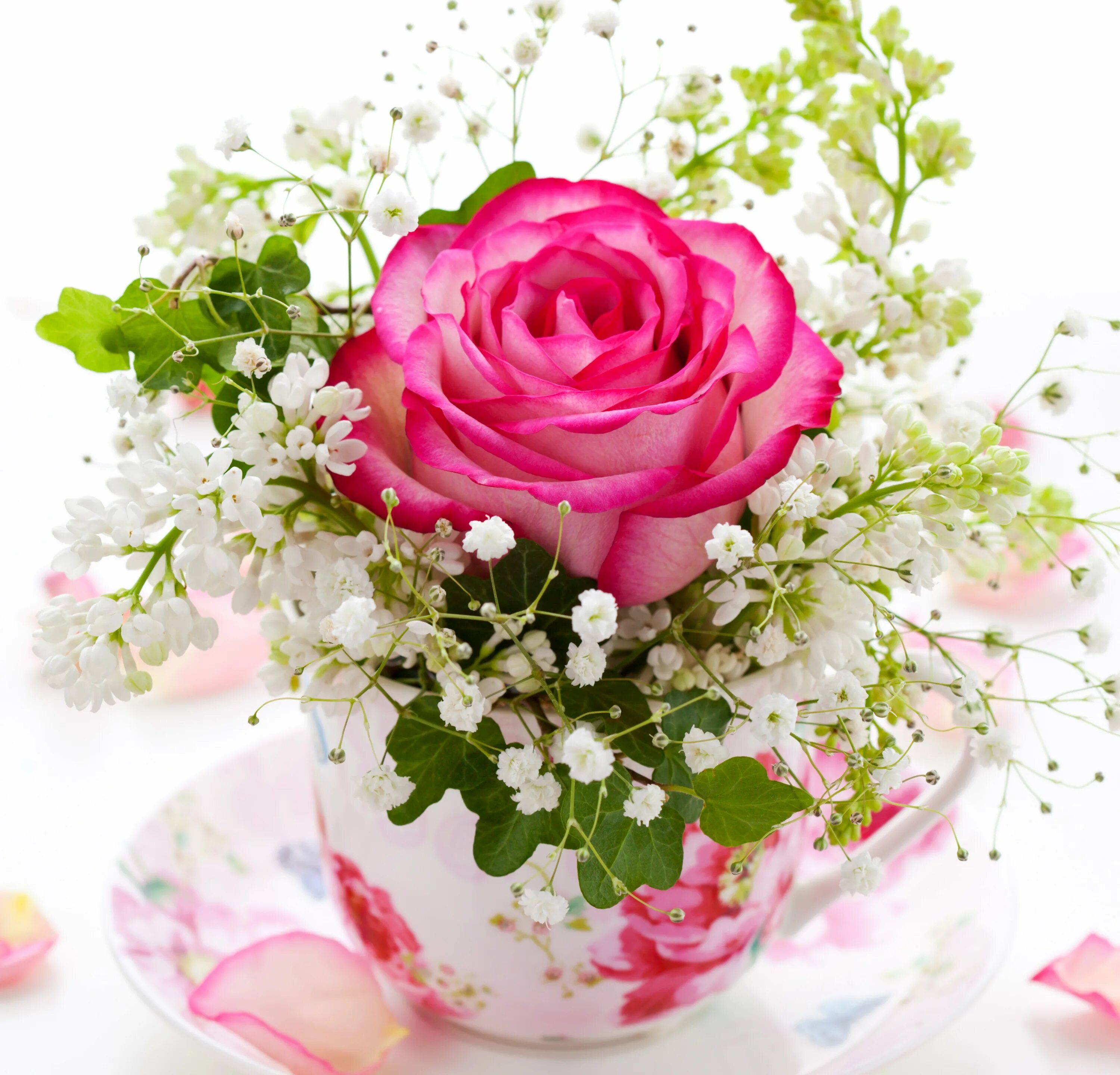 Добрейшего утречка цветы. Утренние цветы. Доброе утро цветы. Красивый букет в чашке. Нежные цветочки.