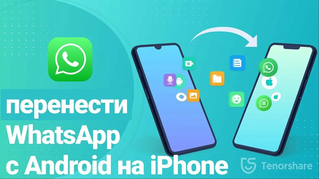 Ланса приложение. Whatsapp перенос android ios. Whatsapp перенос android ios. Mobiletrans перенос whatsapp. Перенести ватсап с айфона на андроид.