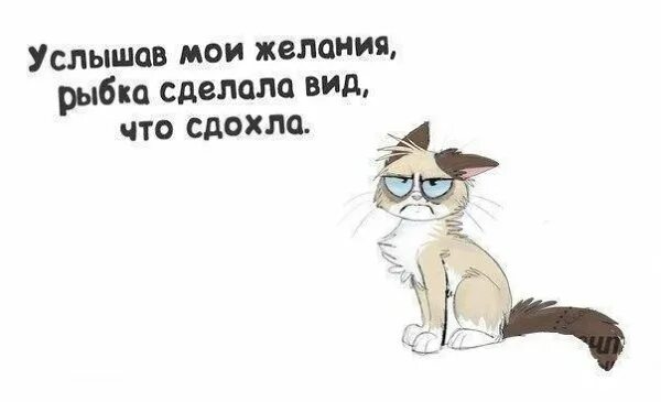 Делай мое желание