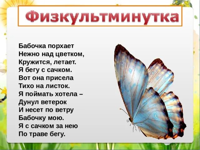 Физкультминутка бабочка. Физминутка бабочка для детей. Физкультминутка про бабочку для дошкольников. Порхающие бабочки. Какая бабочка песня