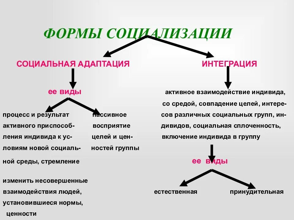 Основные формы социализации. Виды социальной адаптации. Социальная адаптация схема. Адаптация и интеграция различия. Социализация и социальная адаптация.