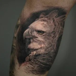 Harpy eagle tattoo  Eagle tattoo, Black and grey tattoos, Lower