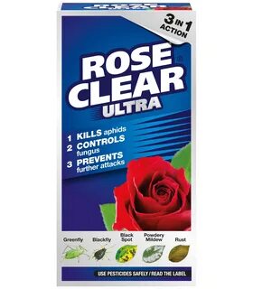 Rose ultra