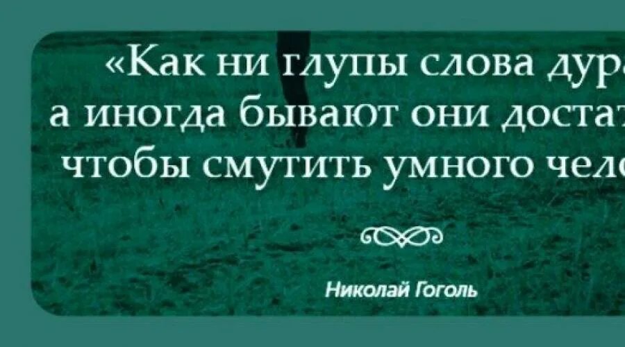 Как ни глупы слова. Афоризмы про дураков. Высказывания про глупцов. Выражения про дураков. Высказывания о дураках.