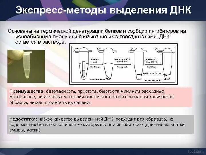 Этапы выделения белков. Методика выделения ДНК. Методы выделения и очистки ДНК. Выделение ДНК методом сорбции. Сорбентный метод выделения ДНК.