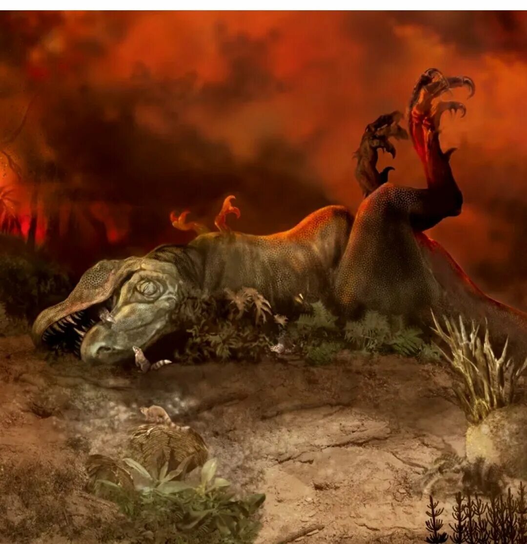 Вымирание динозавров Эра. Мел-Палеогеновое вымирание. Меловой период вымирание динозавров. Вымирание мезозоя. Что убило динозавров