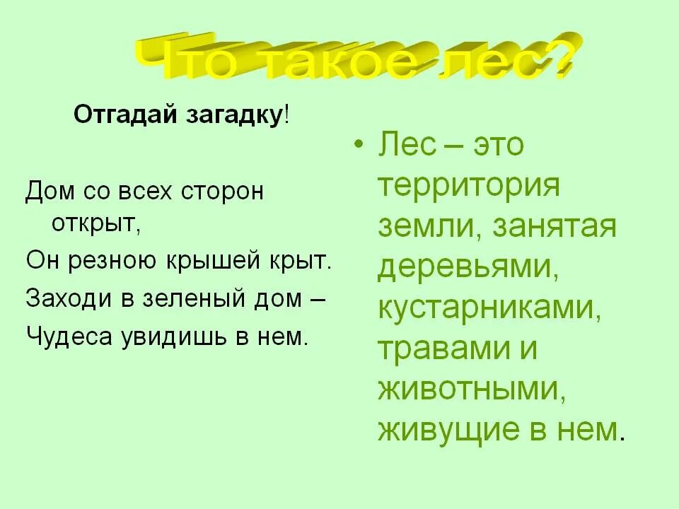 3 Загадки про лес и ответы. Загадки про лес с ответами. Загадки про лес 3 класс. Лесные загадки с ответами.