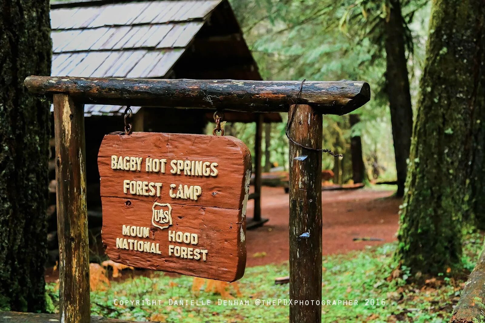 Camp Mourning Wood галерея. Camp Mourning Wood код. Camp Mourning Wood ключ. Oregon Country Fair_ фото. Camp mourning русский