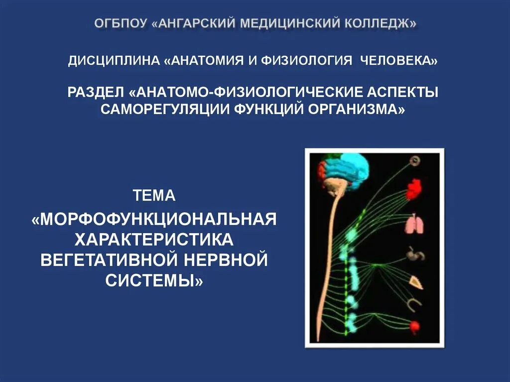 Особенности морфофункционального состояния разных систем организма. Особенности морфофункционального состояния разных систем организма