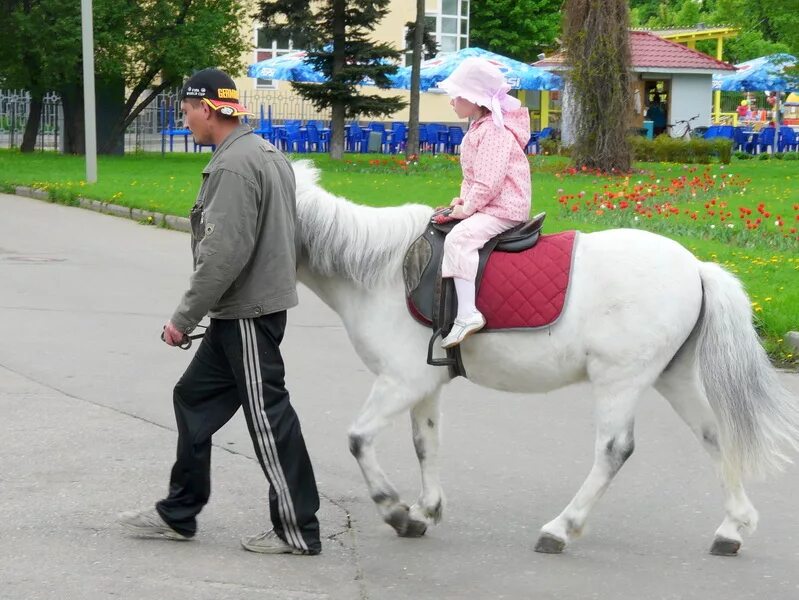 Лошадка в парке. Дети катаются на лошадях. Кататься на лошади в парке. Лошади катают детей в парке.