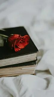 Roses book