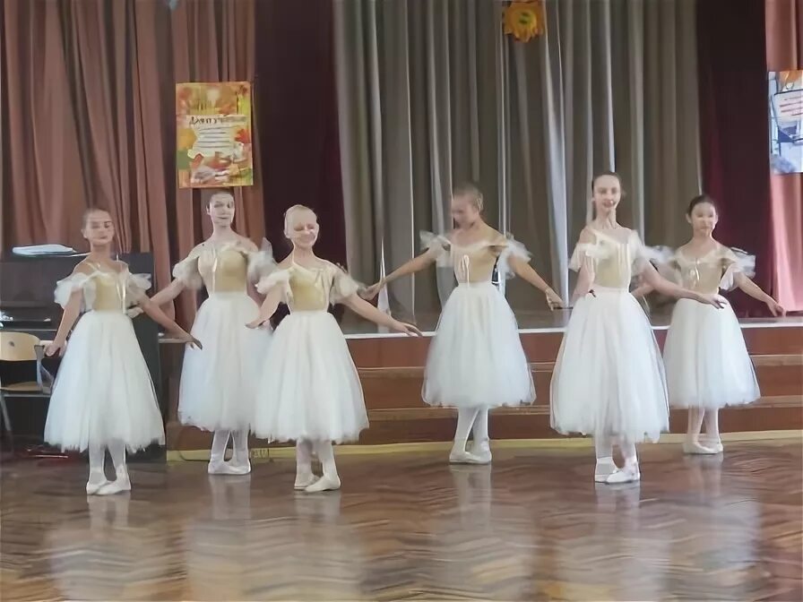 Школа 1113. Школа 1113 москва. школа с углубленным изучением хореографии 1113. директор школы 1113. москва школа 1113 директор школы.