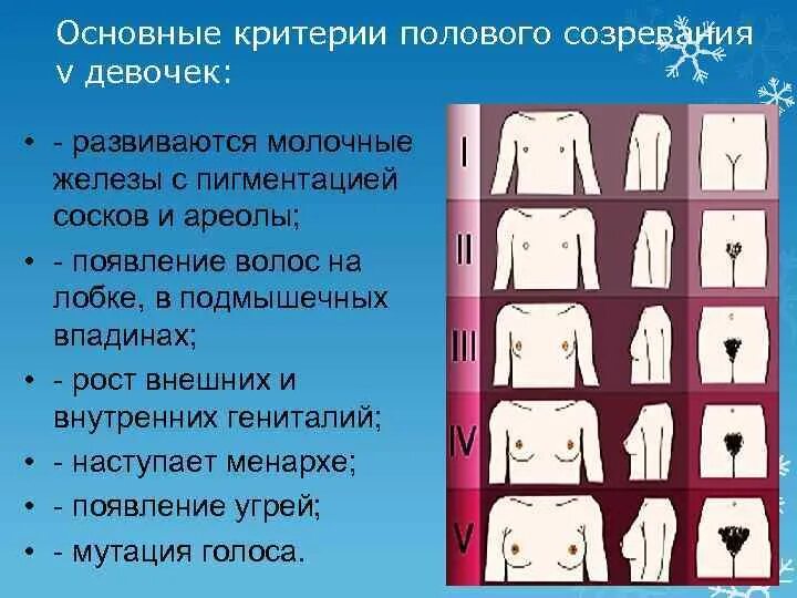 Этапы полового развития девочки. Стадии полового развития девочек. Половое созревание. Этапы полового развития мальчика. Этапы развития женщин