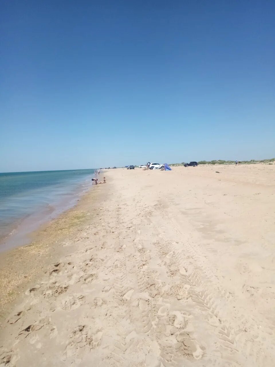 Пляж тортуга анапа. Дикий пляж тортуга анапа. Тортуга витязево. Пляж тортуга на машине. Витязево лиман пляж.
