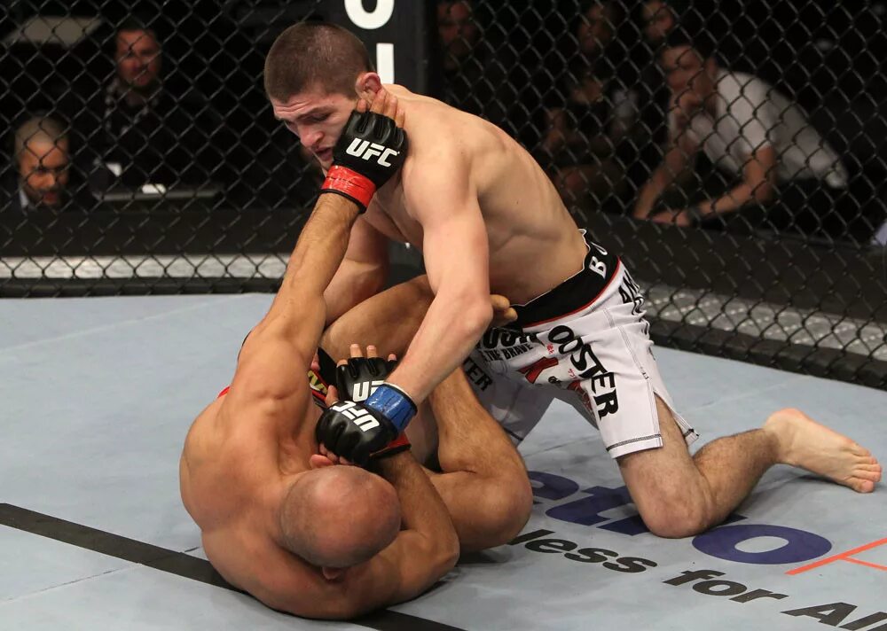 Ufc без правил