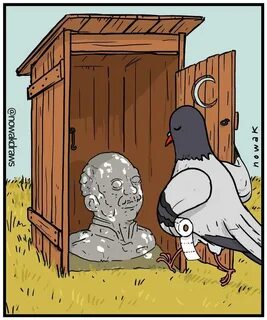Голуби смешные картинки