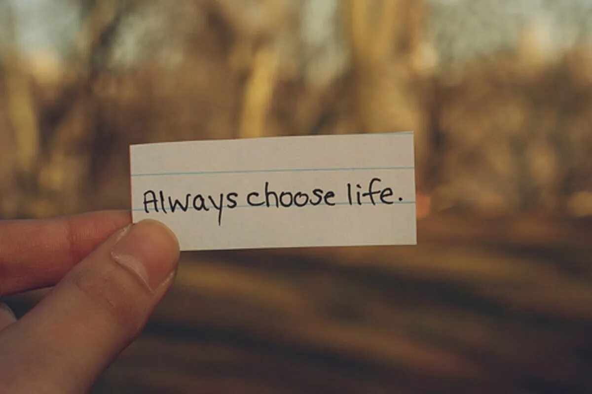 Choose of life 3