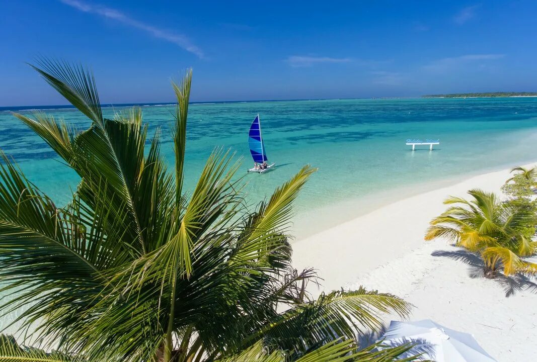 Остров Холидей Мальдивы. Холидей Исланд 4. Holiday Island Resort & Spa. Мальдивы Холидей Исланд картинки. Maldives holidays
