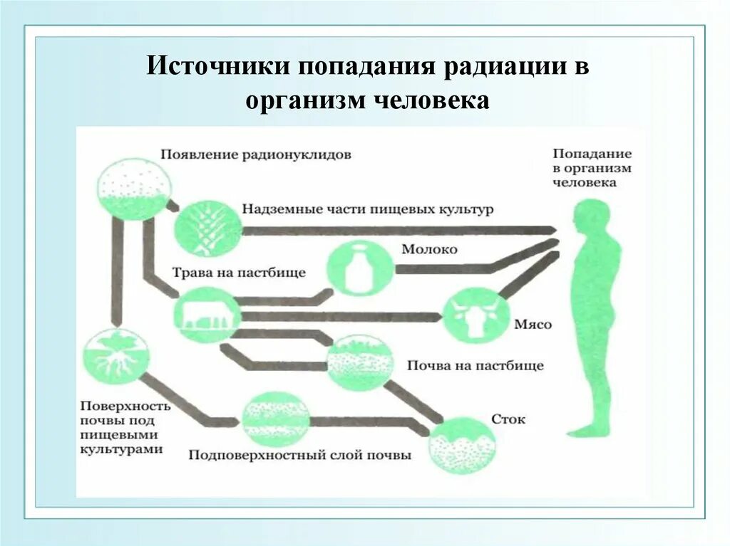 Источники попадания радиации в организм. Способы попадания радиации в организм. Попадание радионуклидов в организм человека. Пути попадания ионизирующего излучения в организм. В чем причина негативного воздействия радиации