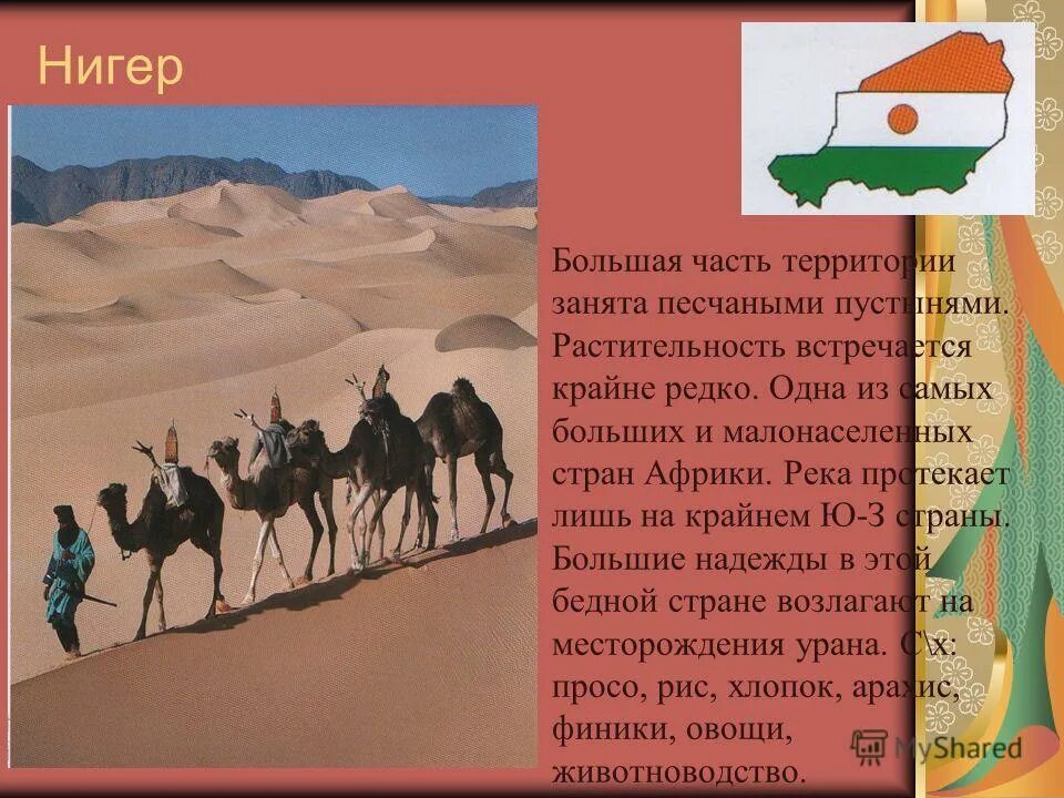 Большую часть алжира занимают. Страны Африки доклад. Сообщение об одной стране Африки. Доклад про страну нигер. Сообщение про африканскую страну.