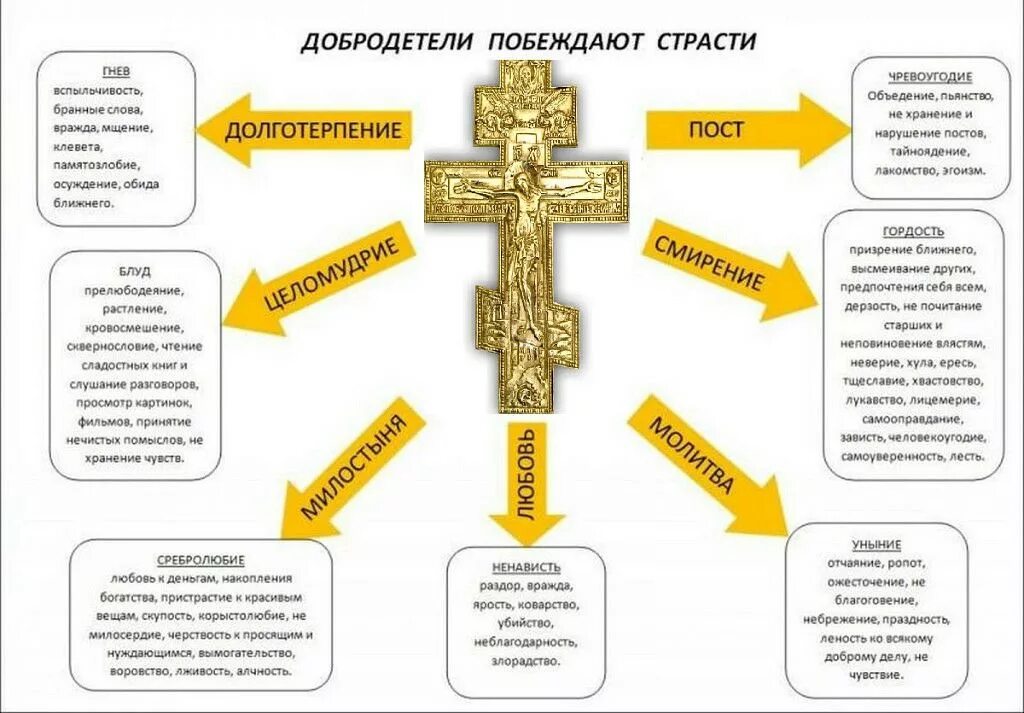 Православные социальные группы. Добродетели в православии. Добродетели в православии перечень. Грехи и добродетели в христианстве. Семь добродетелей в православии.