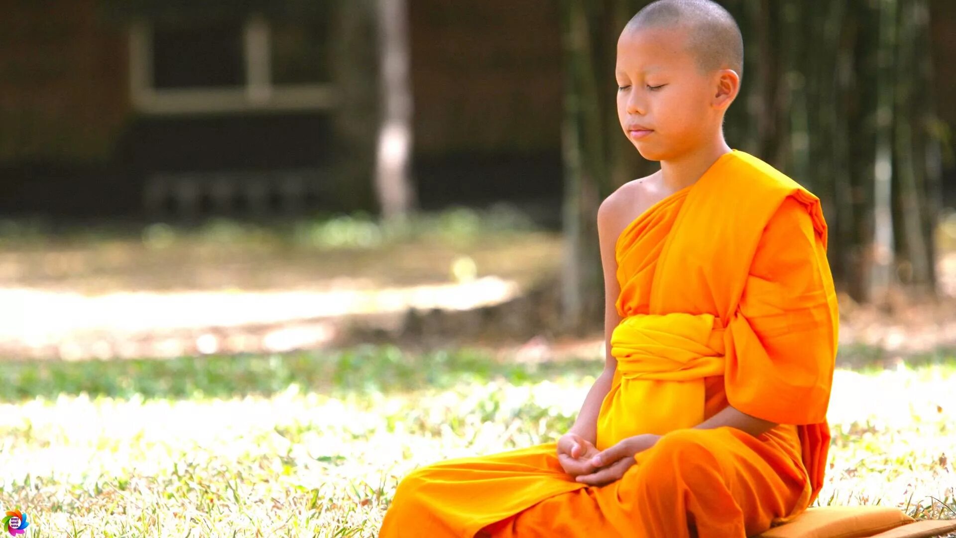 радость буддизм. тибетский монах мальчик. буддизм монахи. радость буддизм. монахи буддисты маленькие.