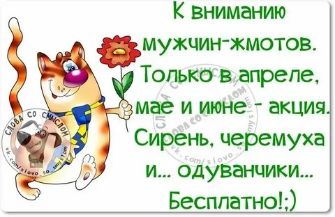Слова внимания мужчине